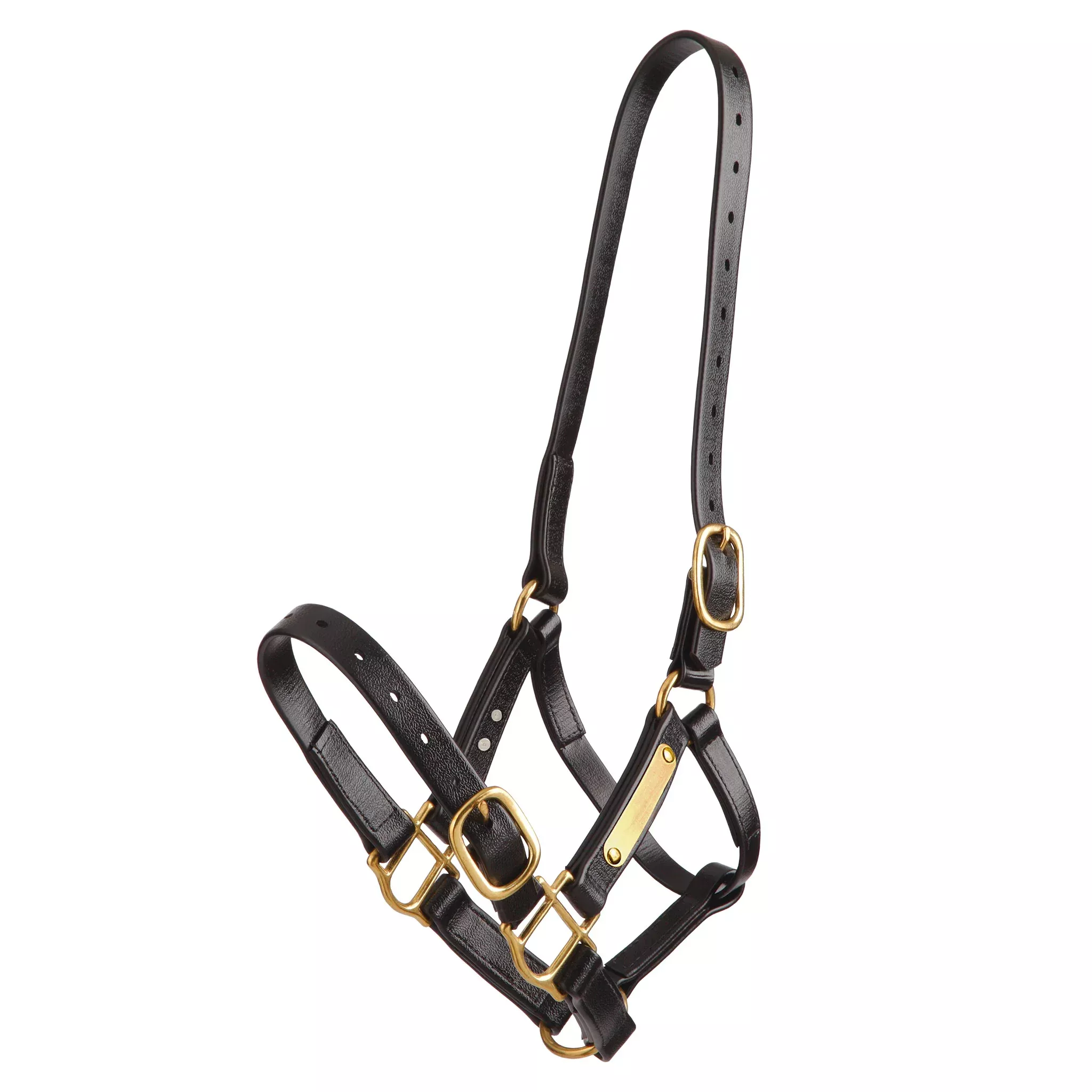 Zilco Deluxe PN Nose Buckle Halter - Black