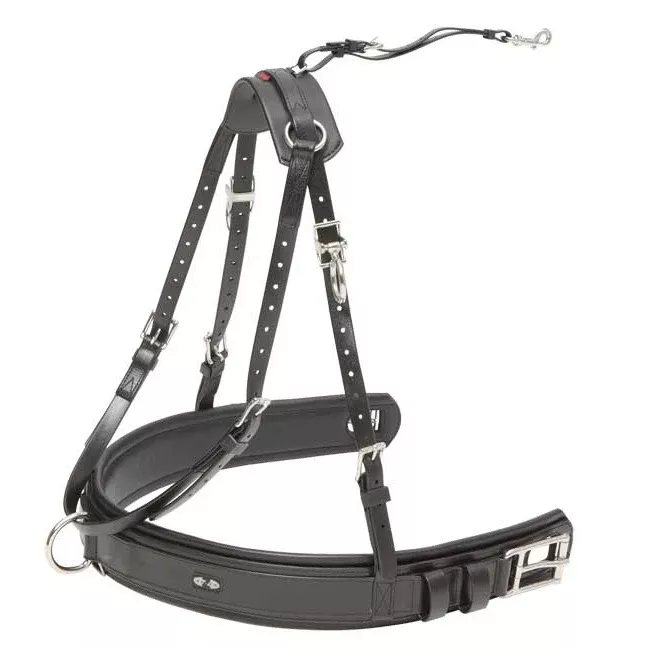 Zilco Elite Single Breast Collar Set