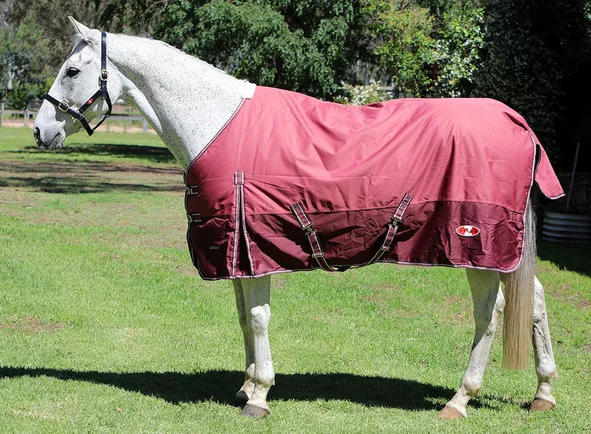 Zilco Explorer 200 Medium Weight Turnout Rug 4'0 to 6'9
