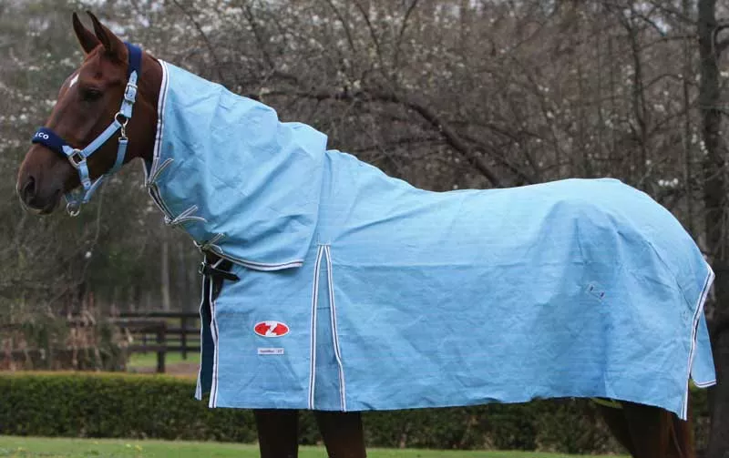 Zilco Hamilton Lightweight Combo Canvas Rug 5'0 to 6'9