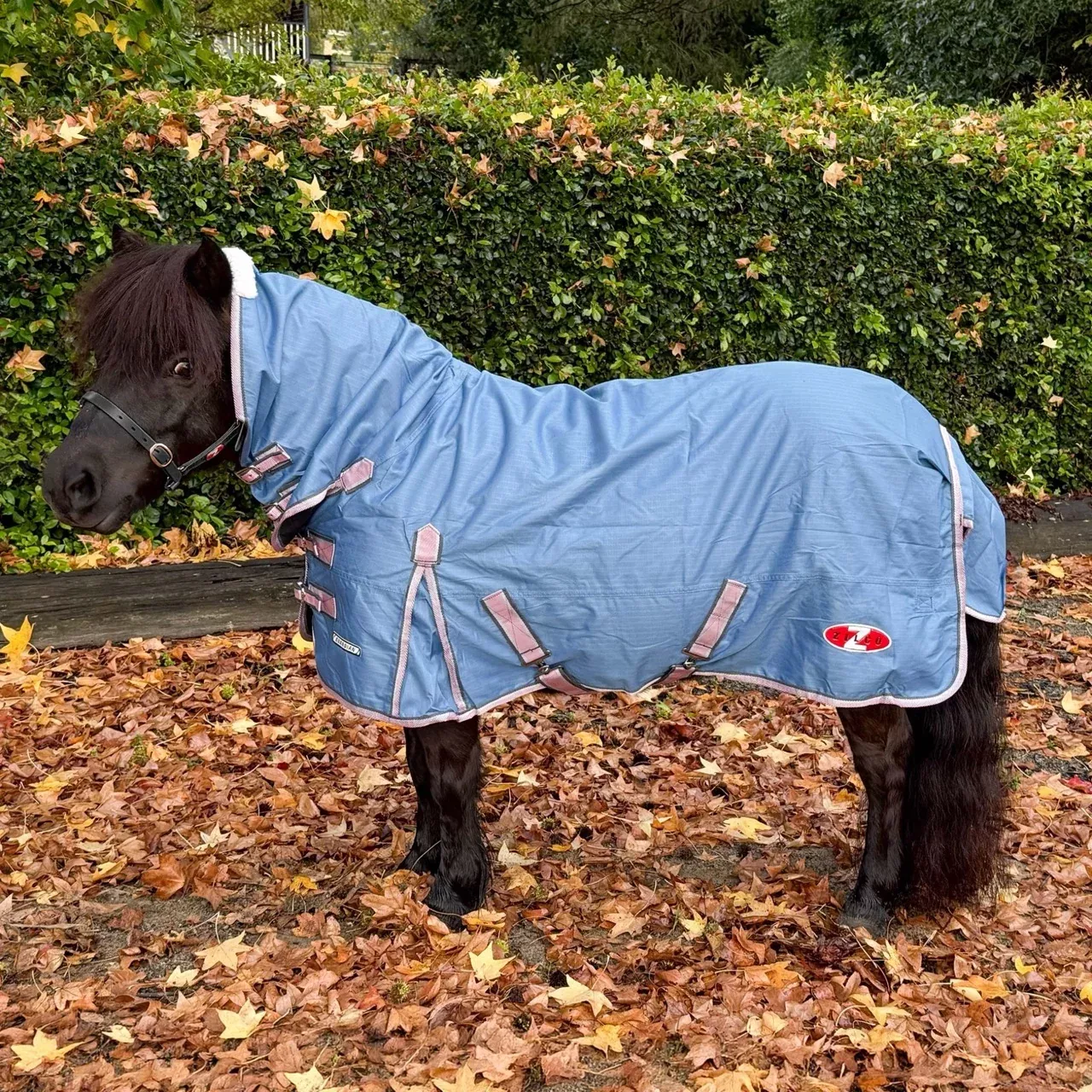 Zilco Mini Guardian Rainsheet Combo Rug