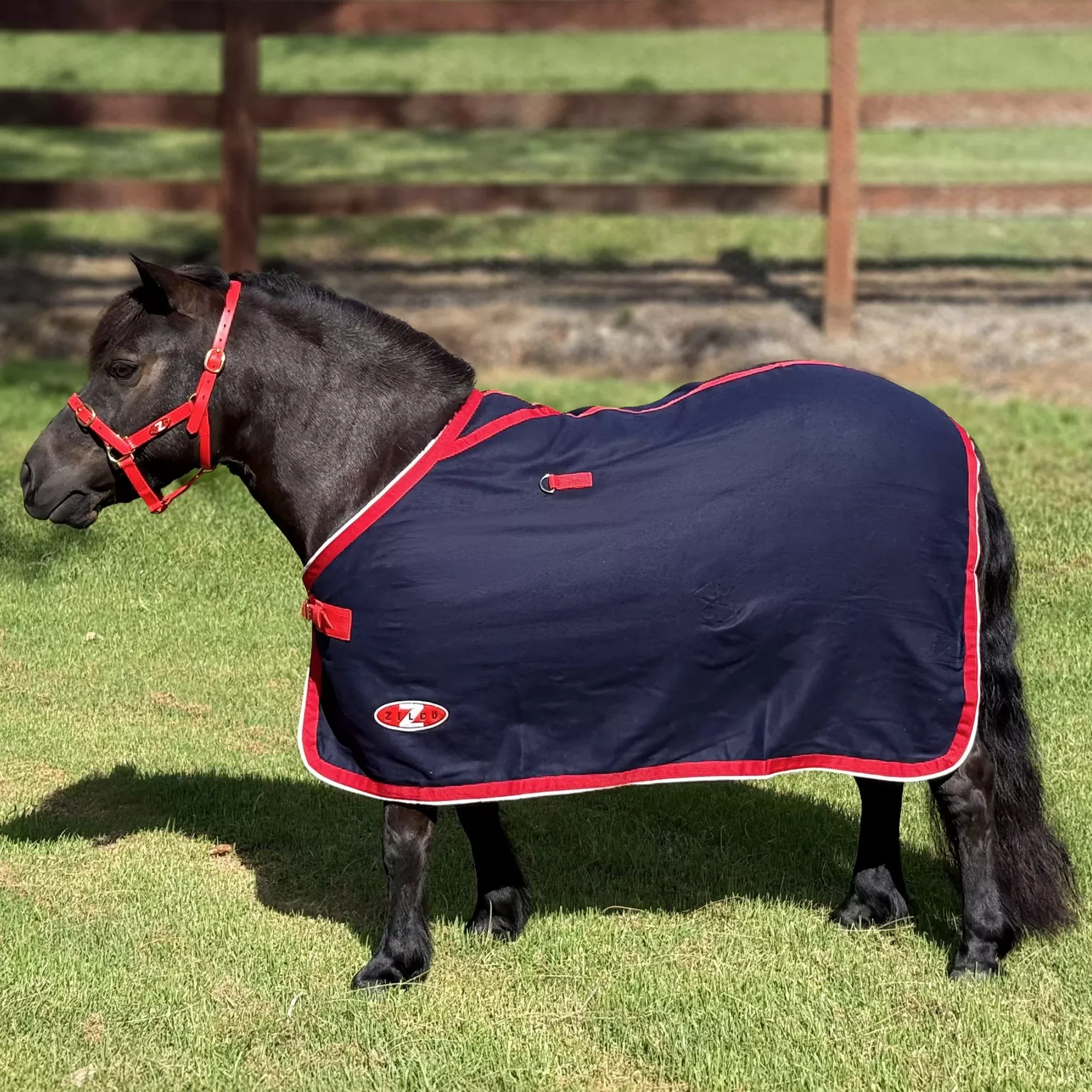 Zilco Mini Stadium Wool Rug