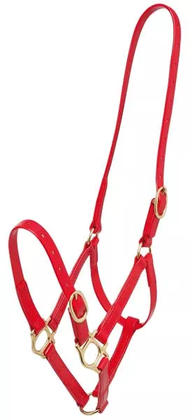 Zilco PN Headcollar 19mm Halter