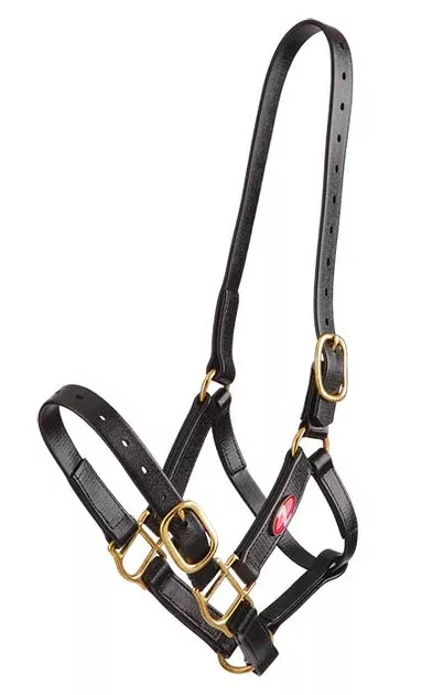 Zilco PN Headcollar 25mm Halter