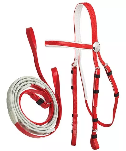 Zilco Race Bridle with Loop End Reins Set White Grips