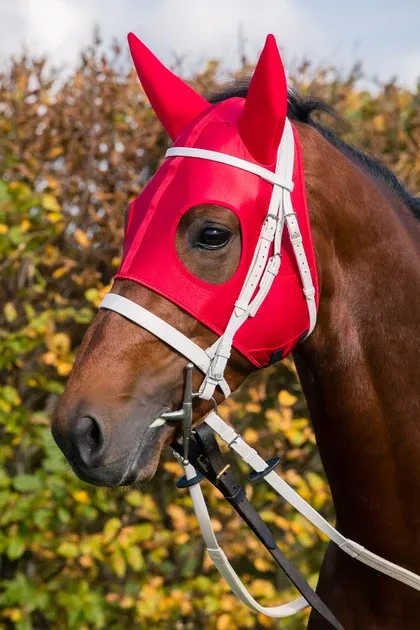 Zilco Race Hood with Neoprene Ears