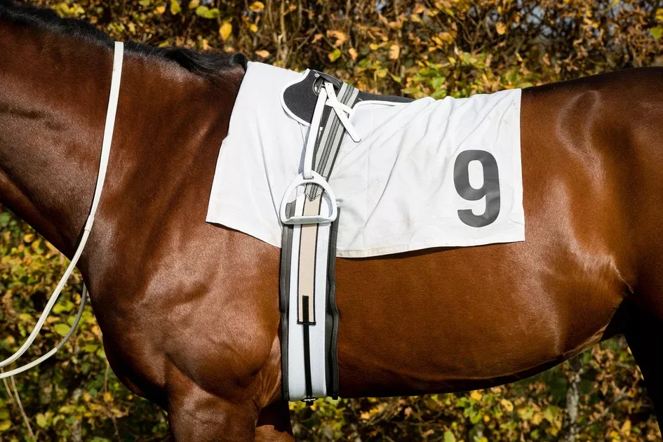 Zilco Race Saddle 185gm