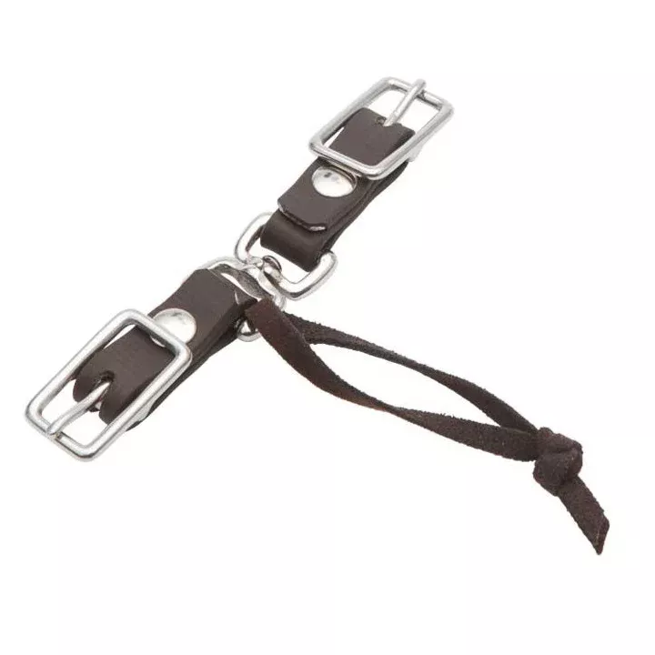 Zilco Rein Coupler