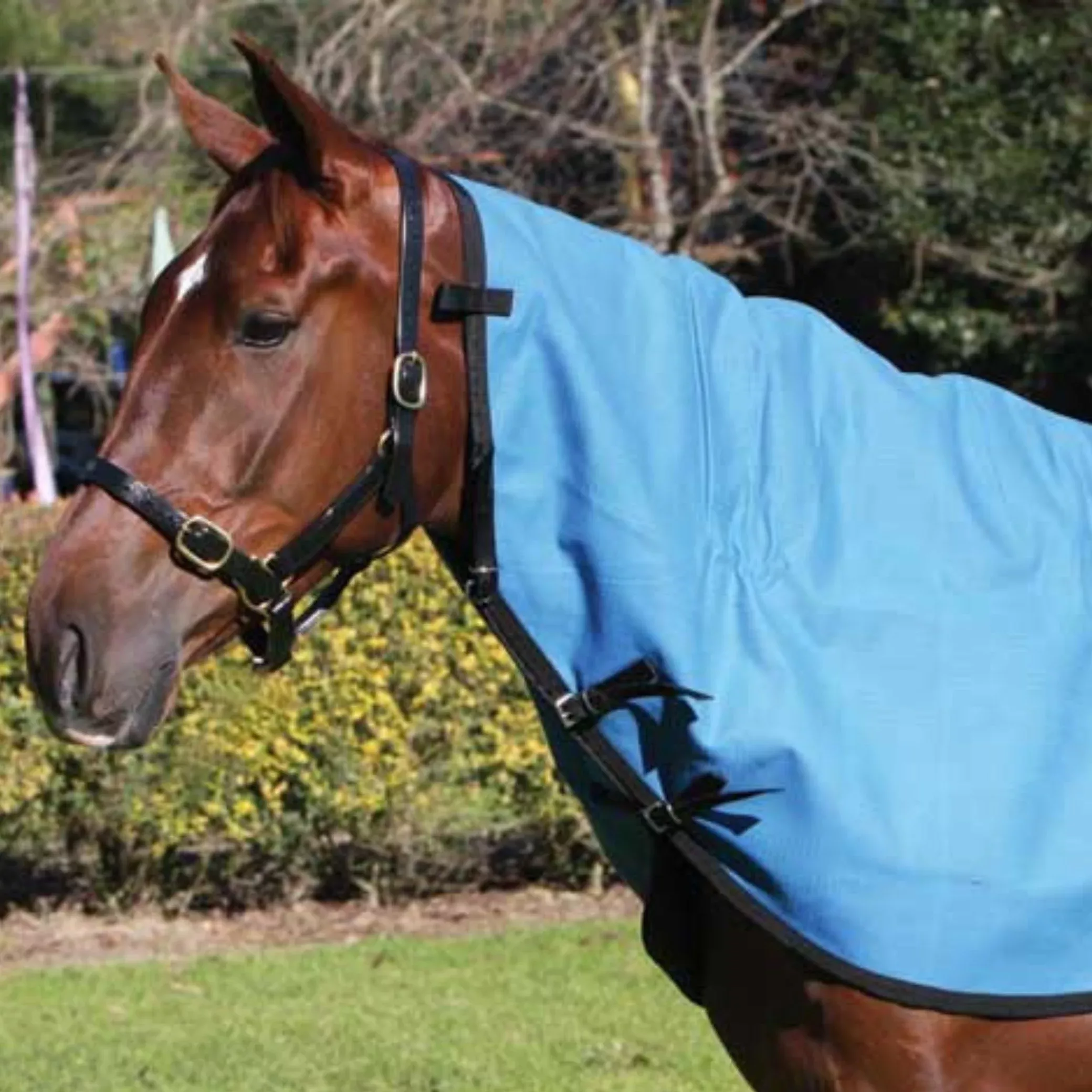 Zilco Rip Protect Neck Rug