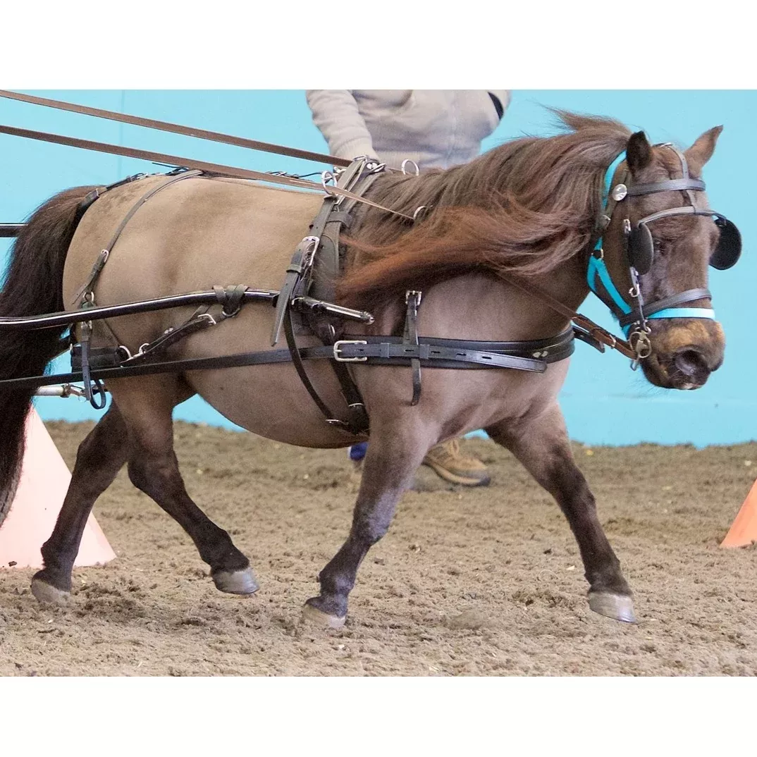 Zilco SL Single Deluxe Harness - Miniature Size