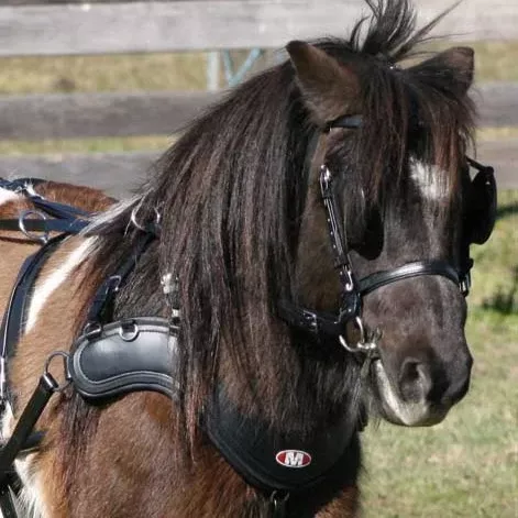 Zilco SL Single Empathy Harness - Shetland