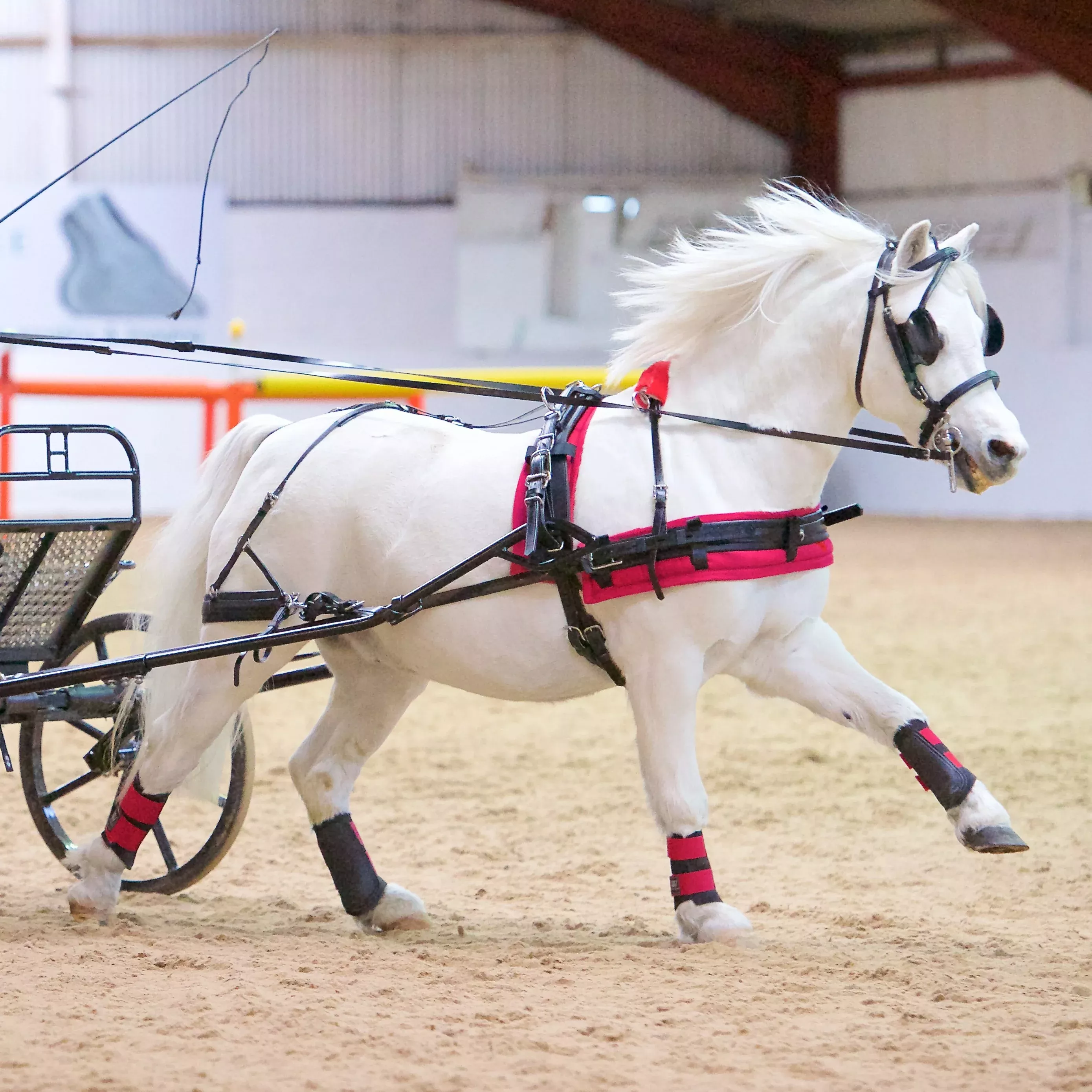 Zilco SL Single Harness - Small Pony Size