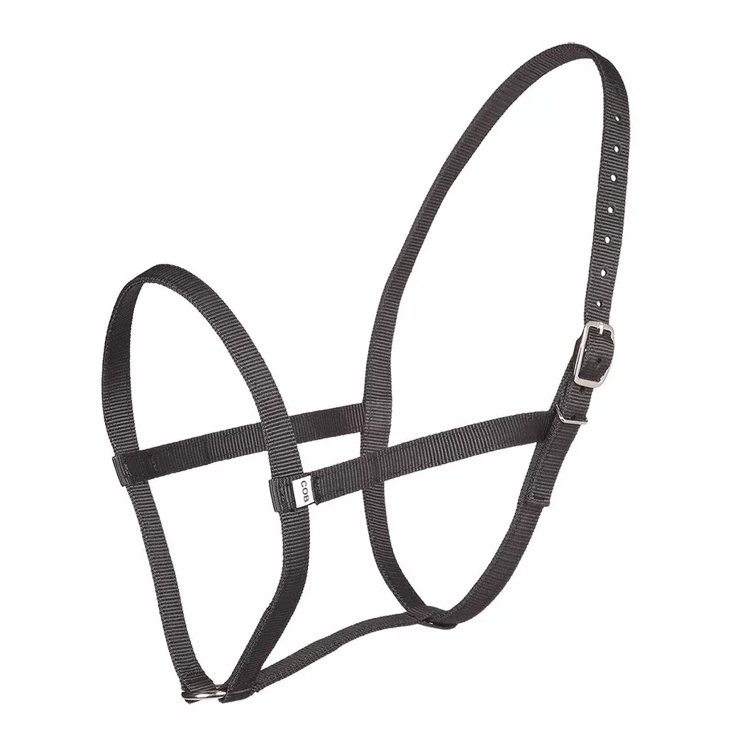 Zilco Web Underhalter