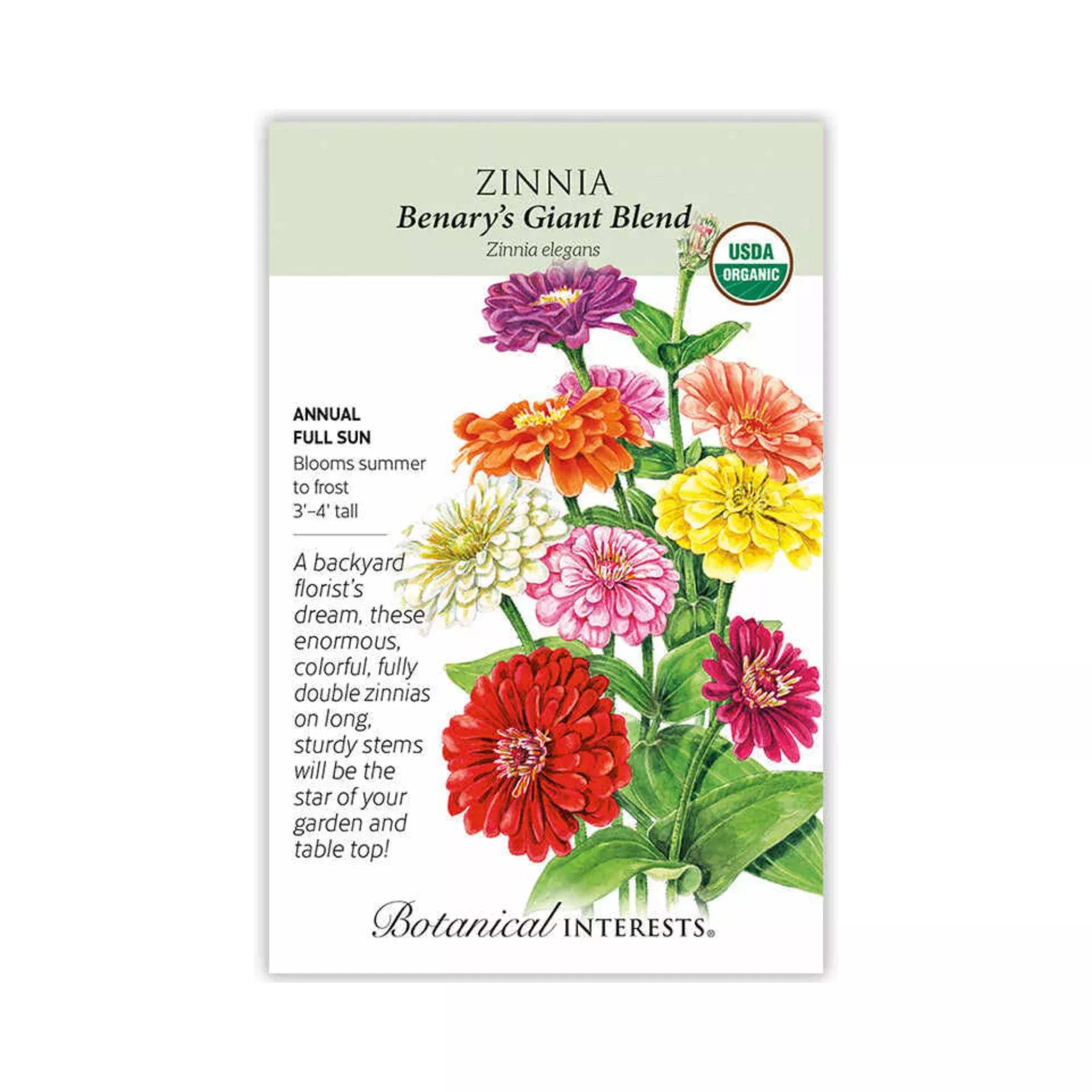 Zinnia Benary's Giant Blend Organic