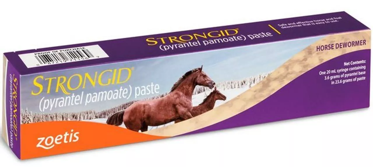 Zoetis Strongid Paste Horse Dewormer (Pyrantel Pamoate)